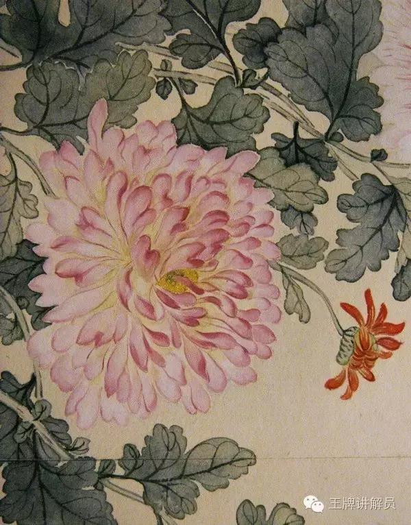 故宫文物菊花,故宫藏菊花长卷