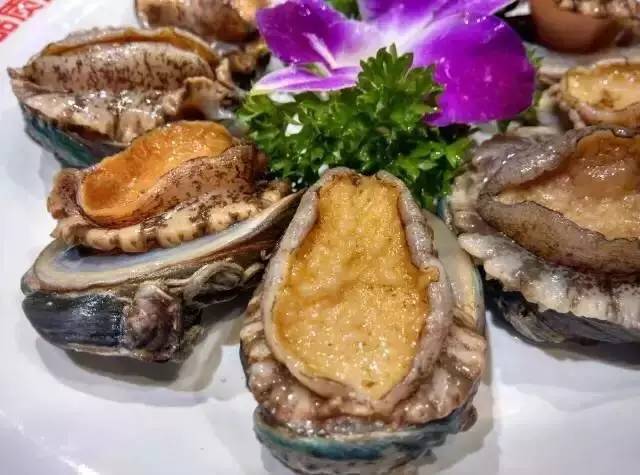 鲍鱼大虾海鲜火锅,一虾一蟹49元海鲜自助火锅