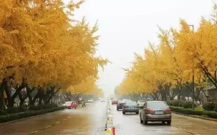 满城尽带黄金甲京剧,满城尽带黄金甲由什么改编