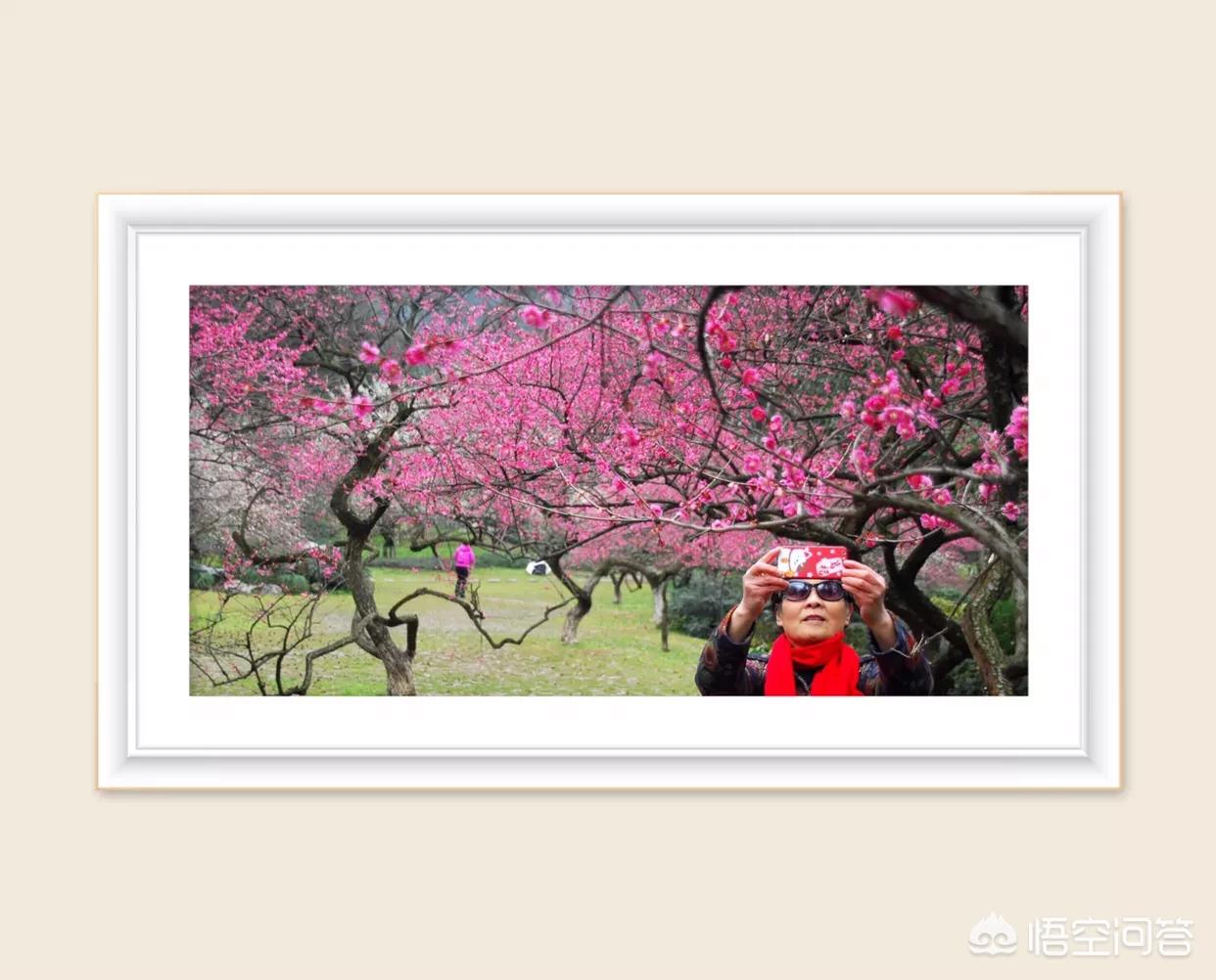 抑郁症不敢社交怎么办,抑郁症会有社交恐惧症吗