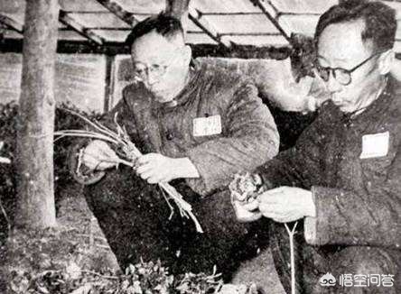 末代皇帝溥仪的一生是真实的吗,溥仪算不算结局最好的末代皇帝