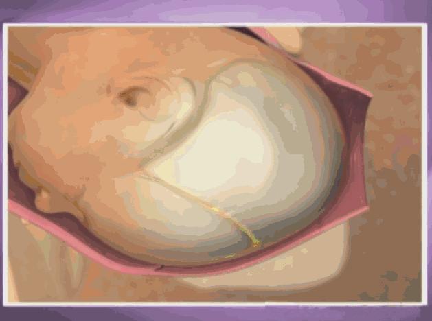 胎儿1-40周发育全过程图解,胎儿1-40周的发育过程如何