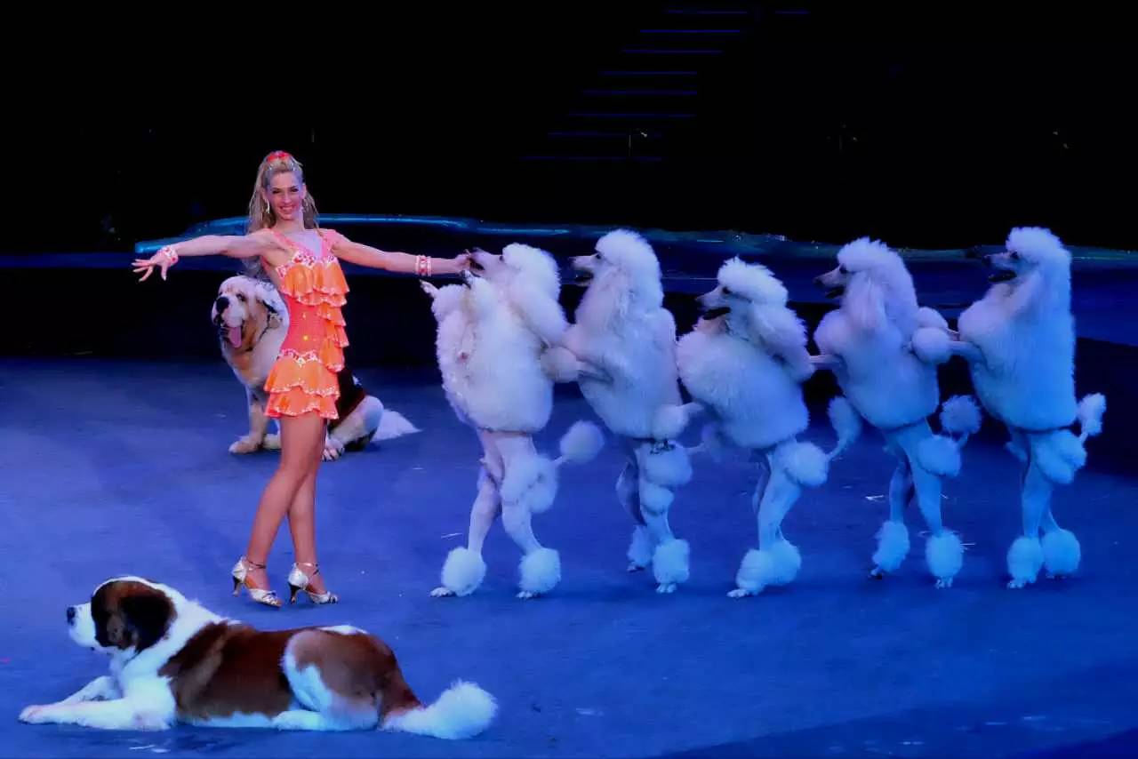 秘境奇技长隆马戏珠海,珠海长隆大马戏简介