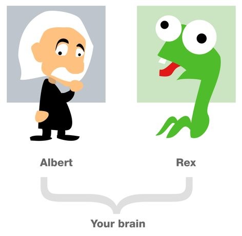 拖延症的最好解决方式职场,懒癌患者怎么治