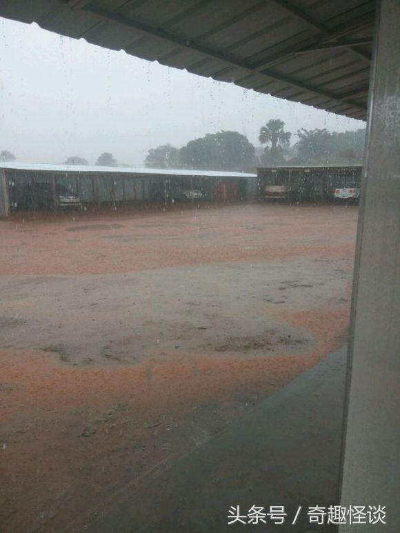 我在非洲工作的日子，给大家介绍下非洲的风土人情