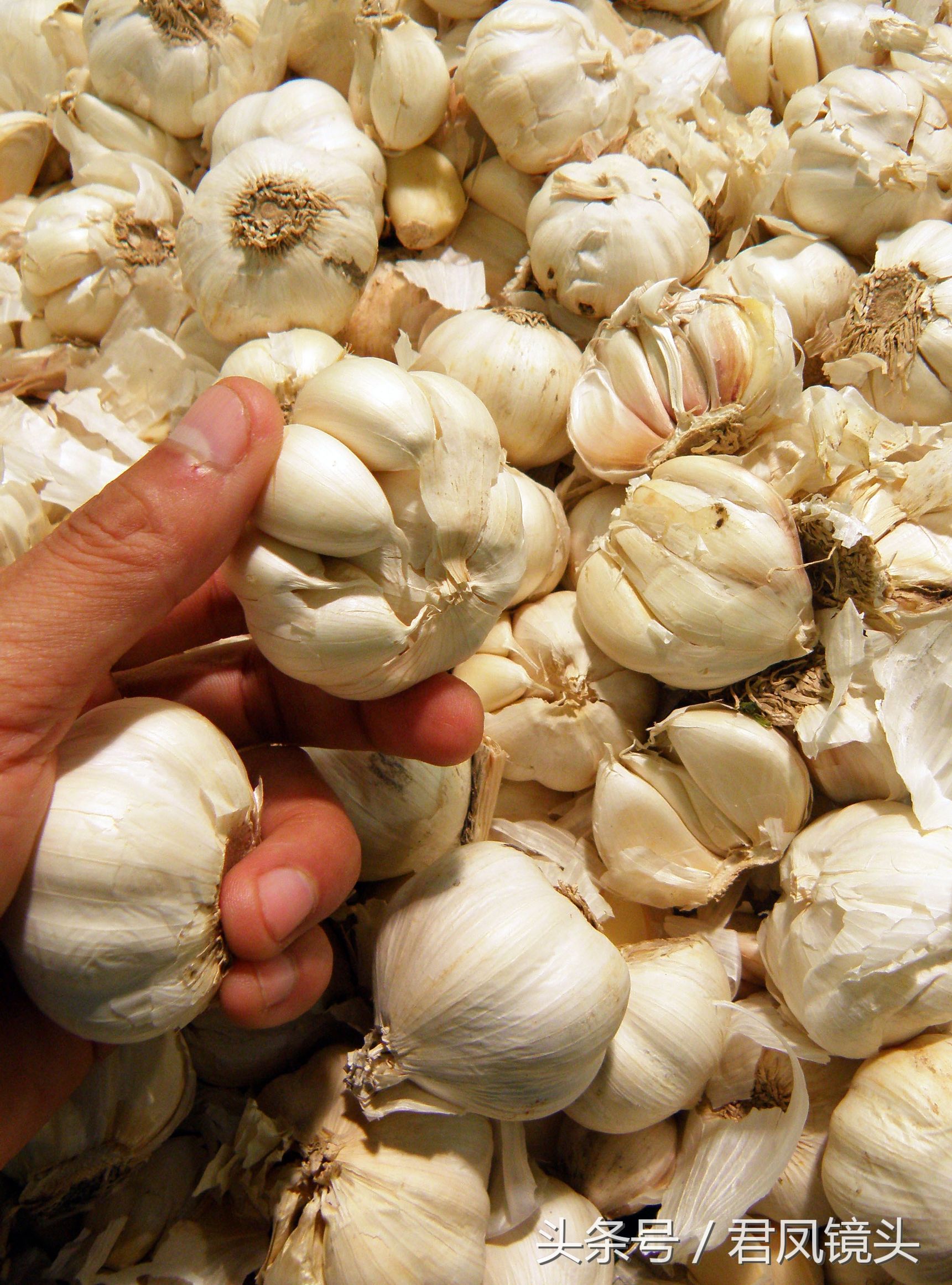 大蒜有驱虫功效吗,常吃大蒜有哪些好处