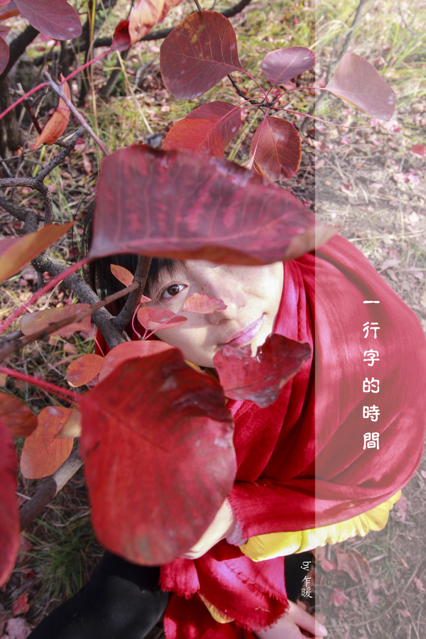 冬游红叶谷,看万山红遍层林尽染全文