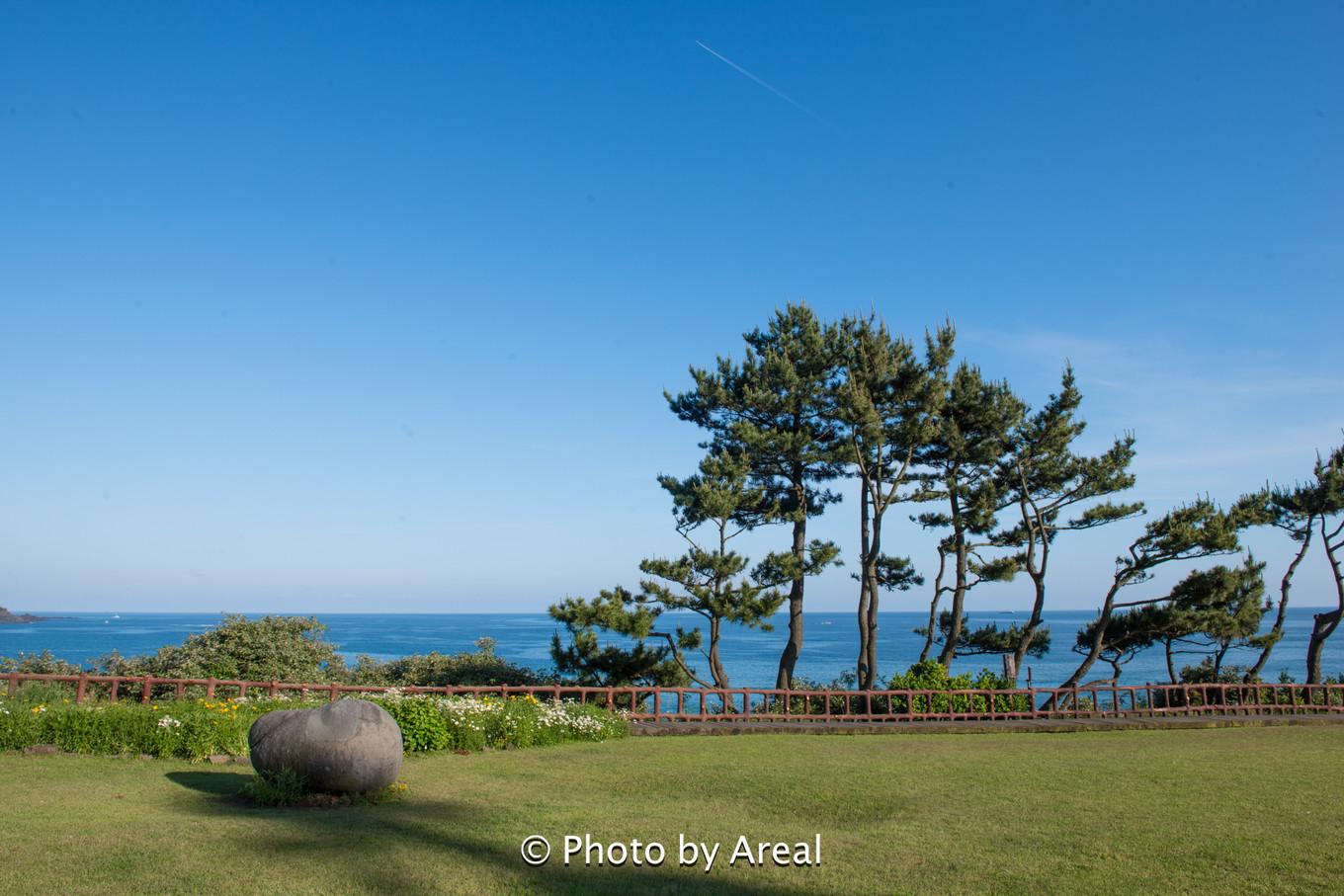 济州岛一日游美食探索,济州岛白天美食攻略