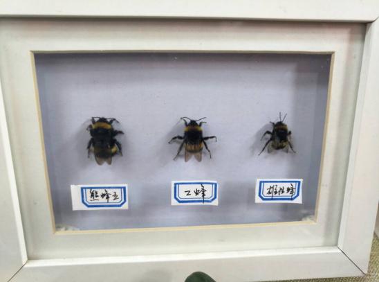 机器人专利创业大赛,大学生智能机器人创业大赛