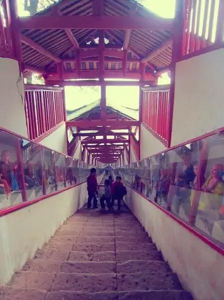 成都寺庙看银杏最美的地方,成都市最美银杏树在什么位置