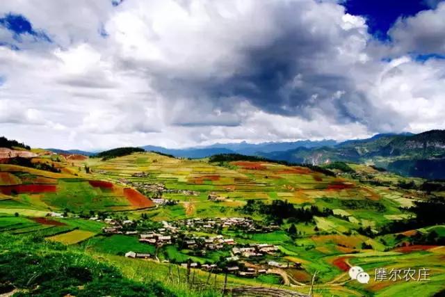 衡水你好，我叫云南，这是我的简历