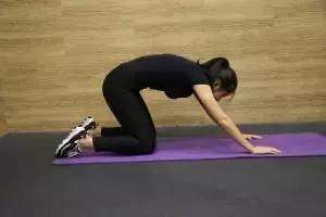 练一练,远离腰痛(腰椎锻炼手册)