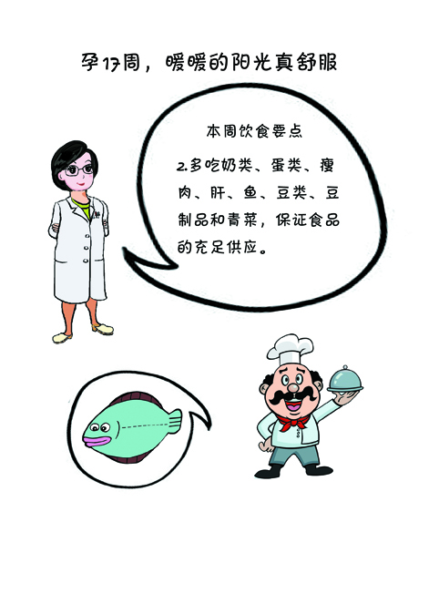 孕17-20周胎儿与孕妈妈的身体变化,孕1到40周详细胎儿发育情况介绍
