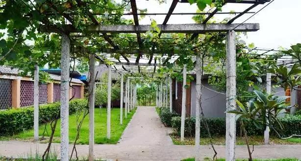 天呐！镇海将拥有宁波最大草坪？还将建宁波唯一