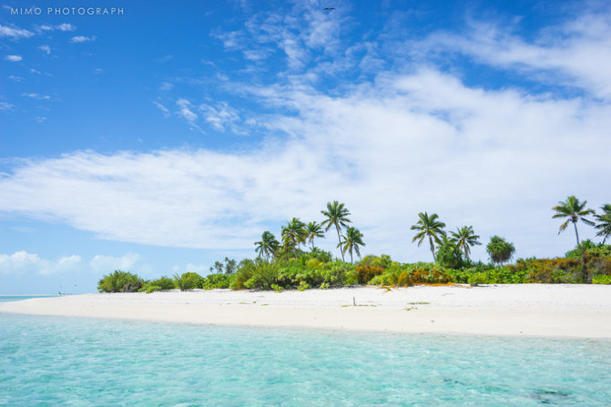 库克，上帝最秘密的存在