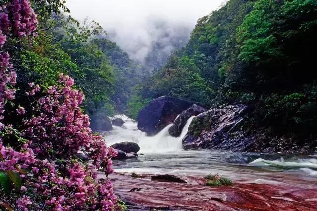 从厦门出发去旅游哪里便宜,到厦门玩5天需要多少钱