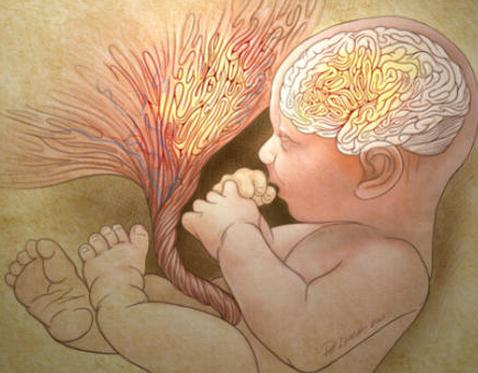 胎儿偏小会影响正常发育吗,产检医生说宝宝偏小怎么办