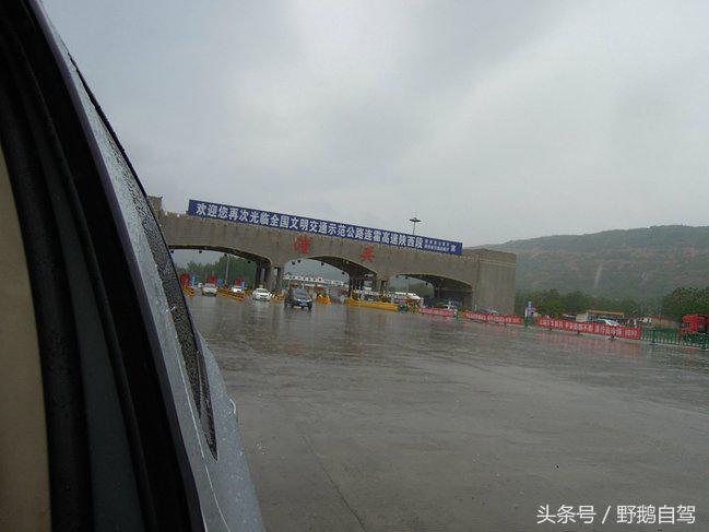 新疆野鹅自驾游视频,野鹅圣诞节自驾游