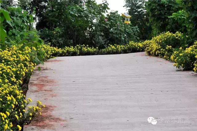 航拍金堂玉皇山,玉皇山登高金堂