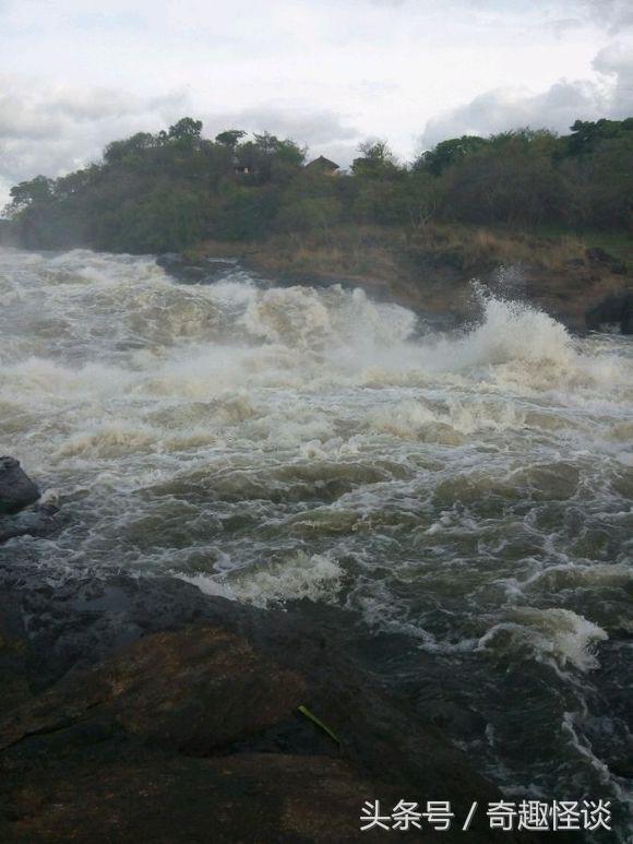 我在非洲工作的日子，给大家介绍下非洲的风土人情