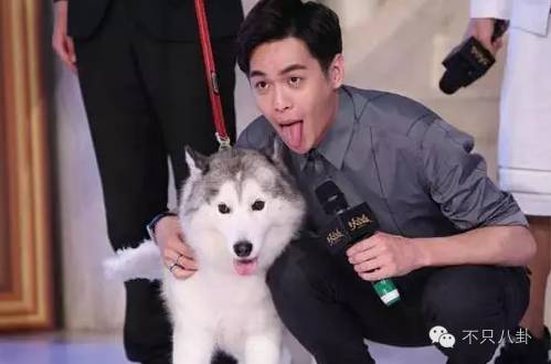 张若昀演的唐山海是什么电视剧,张若昀唐山海美照