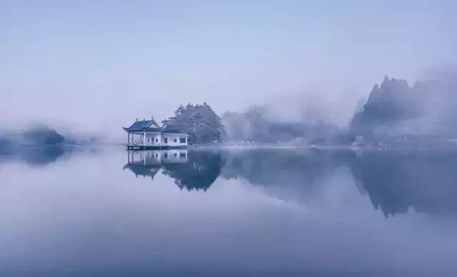 萌茶茶系列,萌茶茶出名吗