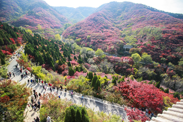 冬游红叶谷,看万山红遍层林尽染全文