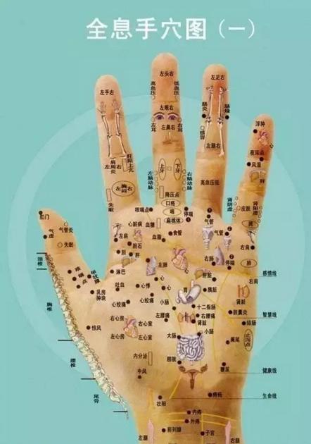 人体全息图集锦留着超级有用,人体部位全息图和反射图pdf