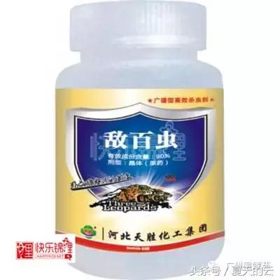 那些你不知道的副业,那些你不知道的观赏鱼