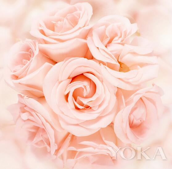 过年就要香喷喷新年新香表错过