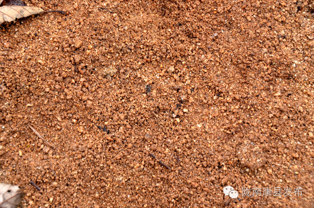 阳坝:遗落在时光深处的慢生活