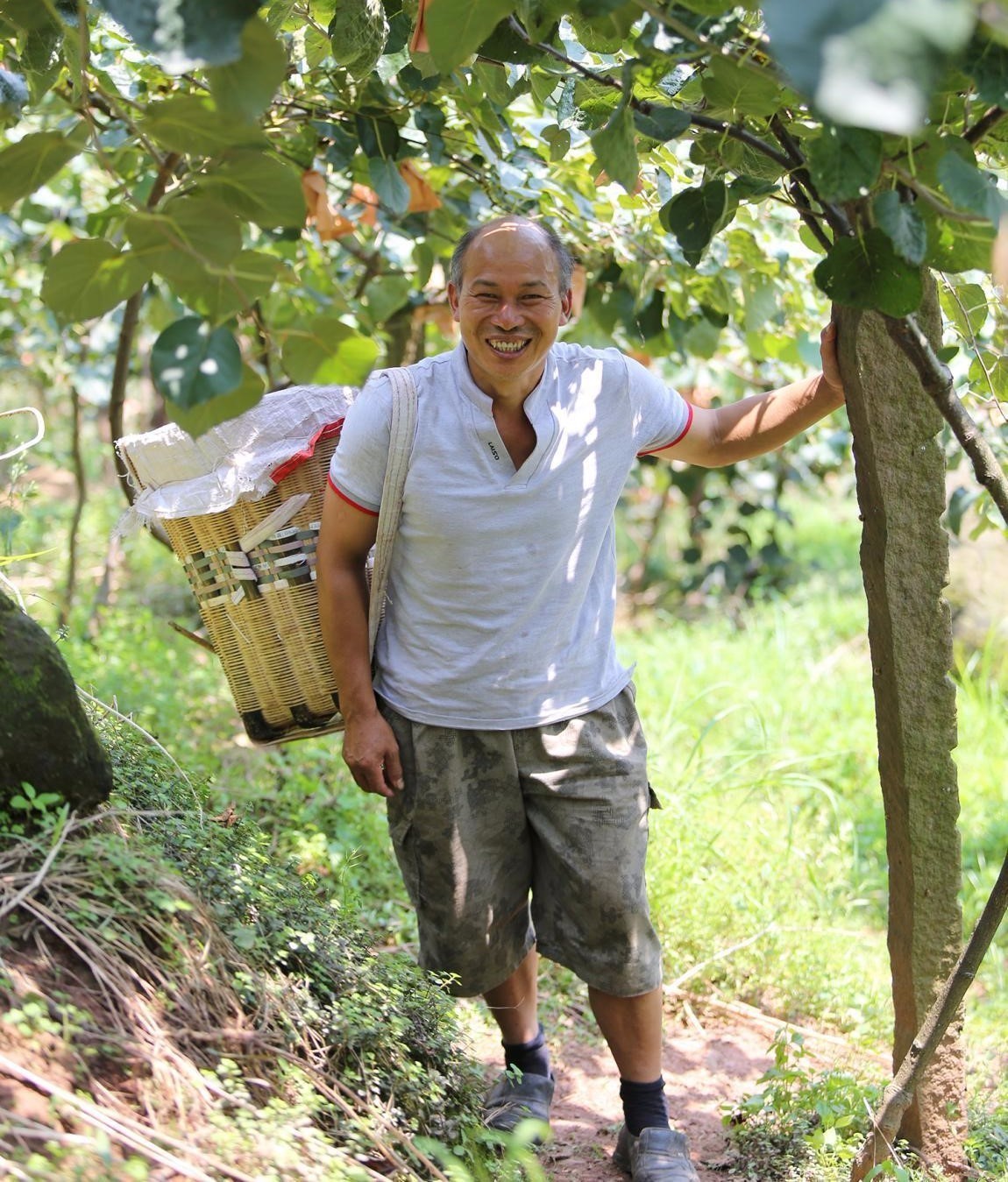在蒙顶山的守候,蒙顶山晚上