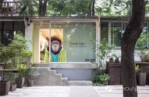 三里屯未来5年发展,北京三里屯发展史