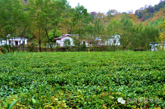阳坝:遗落在时光深处的慢生活