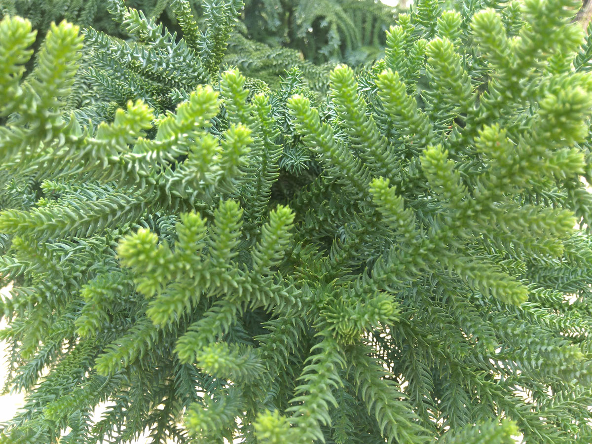 360n4s骁龙版的价格,360n4s骁龙版对比其他手机