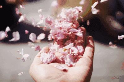 这点钱都舍不得花你还找什么对象,这点钱都不舍得给我花怎么回复