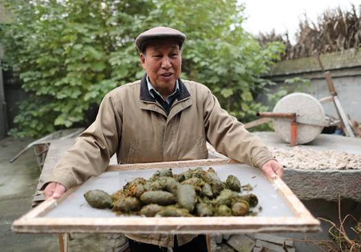 11月10日一分钟新闻早报,一分钟看完11月1日新闻摘要