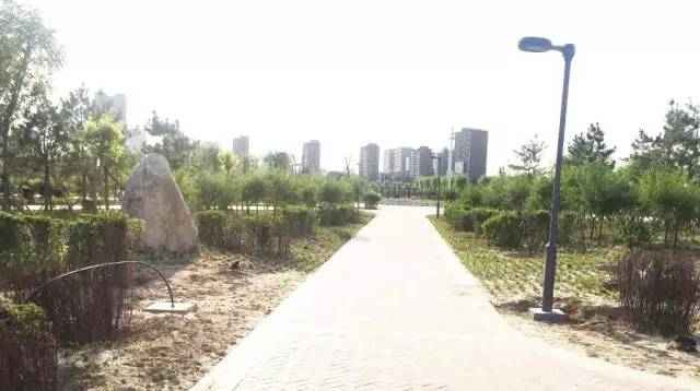 包头城建大项目,包头市新建公园