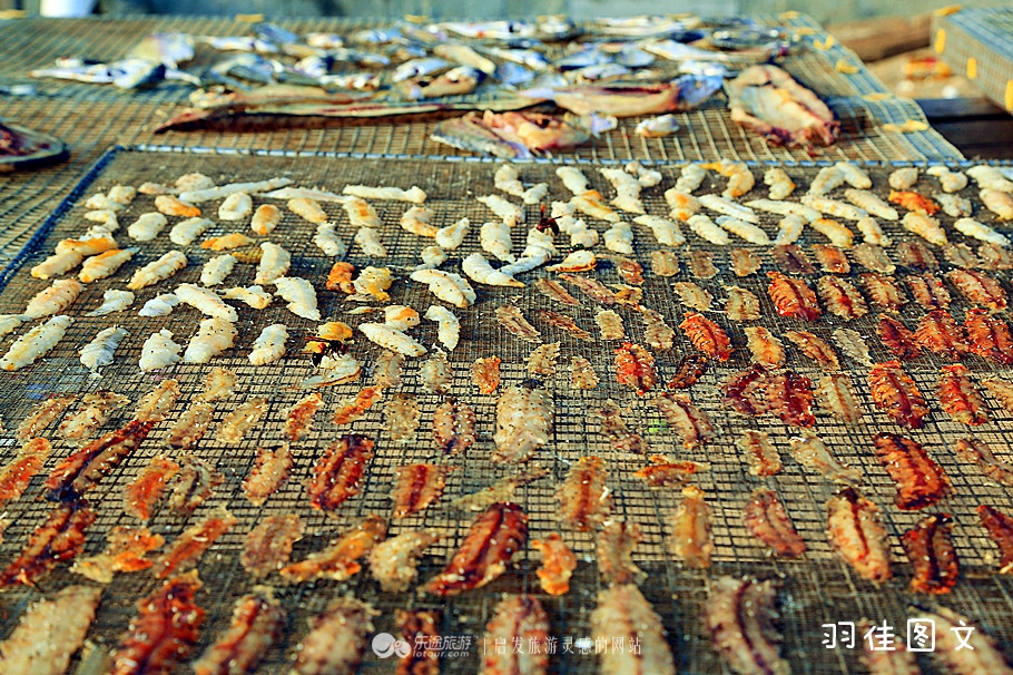 小渔村旅游攻略好吃的,那琴半岛美食攻略最新