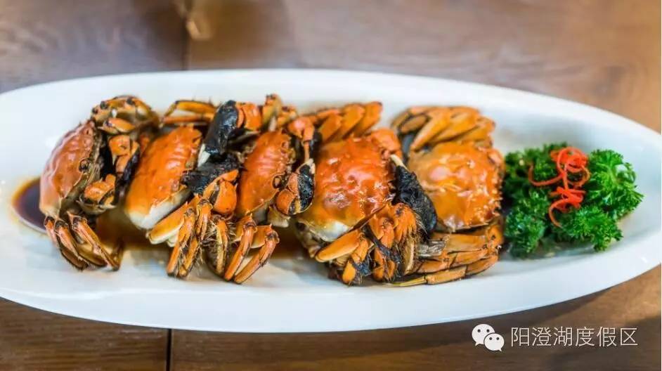 大闸蟹的保存方法要怎么弄,大闸蟹的几种保存方法珍藏