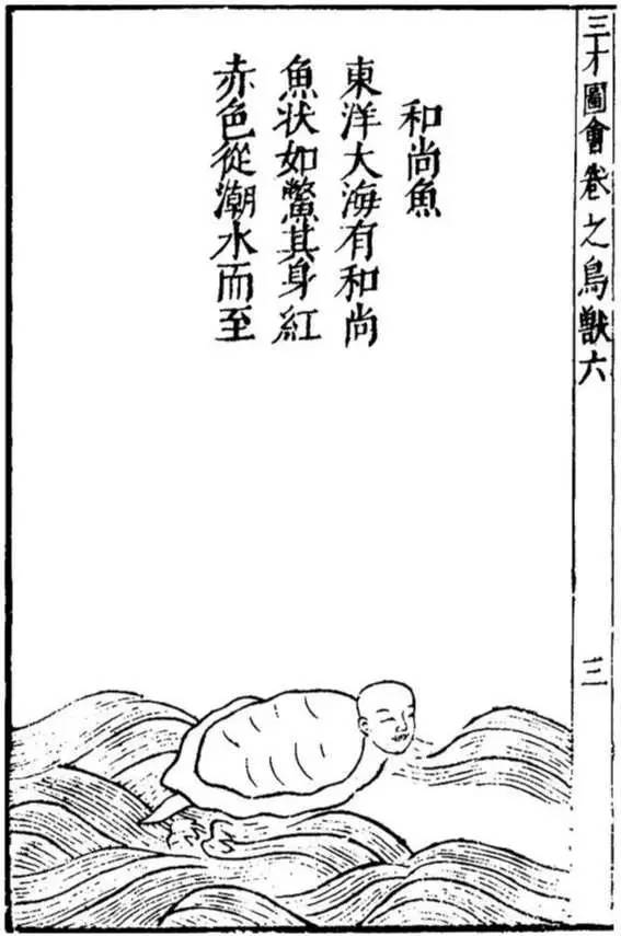 海妖恐怖故事,关于海怪的恐怖传说