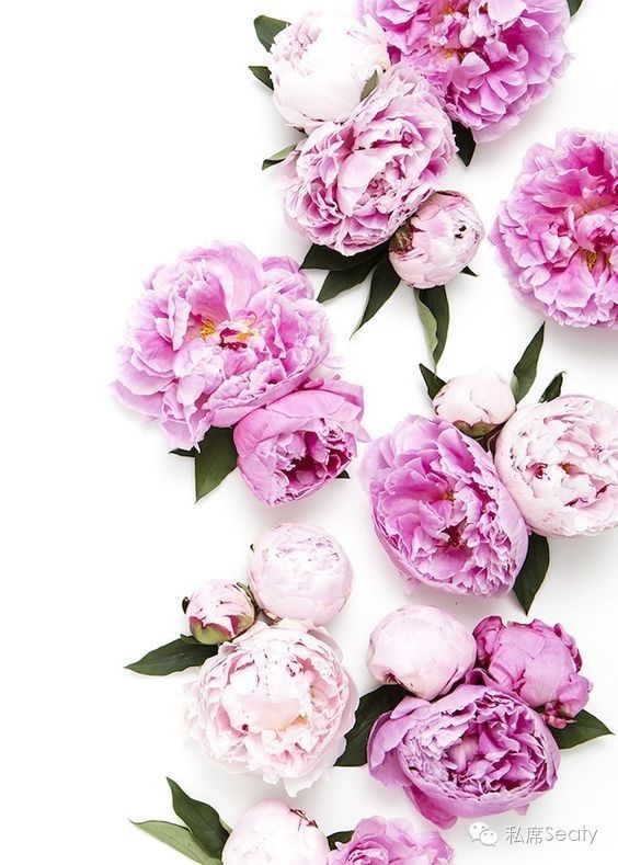 经期过后怎么才能瘦,怎样能在经期继续瘦