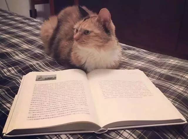 一口气看懂最伟大的科幻,一个强大到无解的科幻片