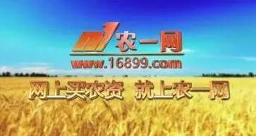 常见的电商运营类型有什么区别,常见的电商模式有哪些