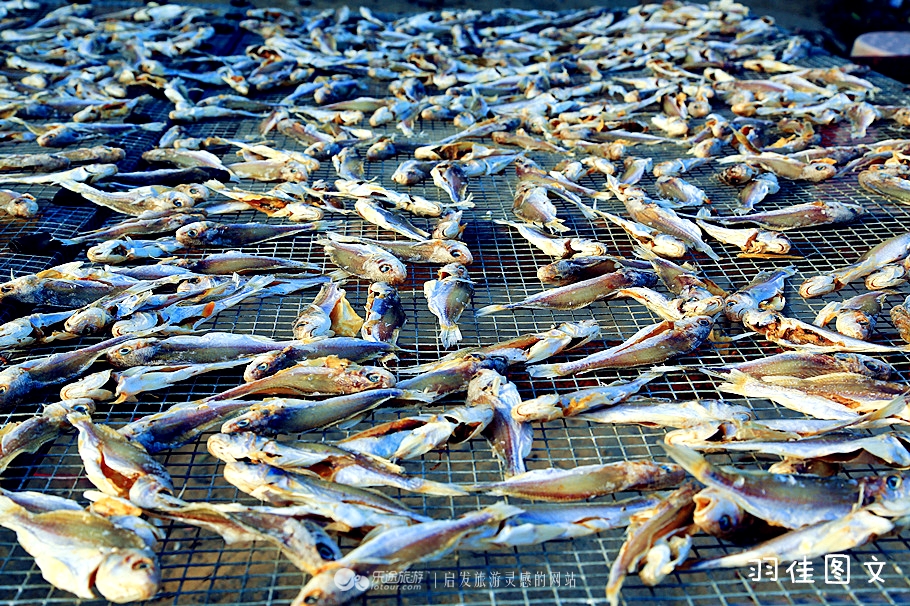 小渔村旅游攻略好吃的,那琴半岛美食攻略最新