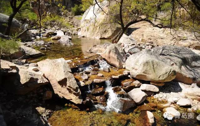 作为周口人你应该知道哪些,作为青岛人对青岛的热爱和感受