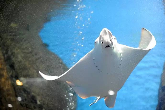 像孩子去游乐园一样开心,像个孩子去旅游