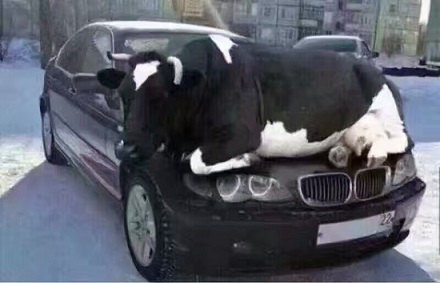 被200多斤的女胖子一屁股坐下去压着是什么感觉？