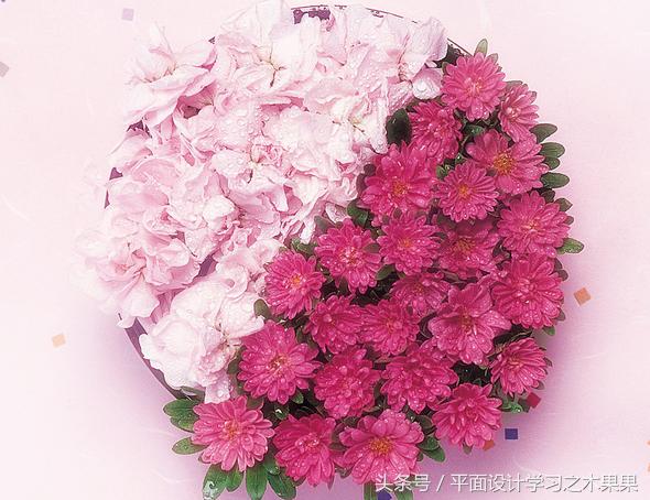 色彩学色彩设计与配色,学习颜色认知视频