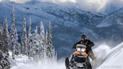 零下40度到底冷吗,零下40度有多冷人不会冻住吗